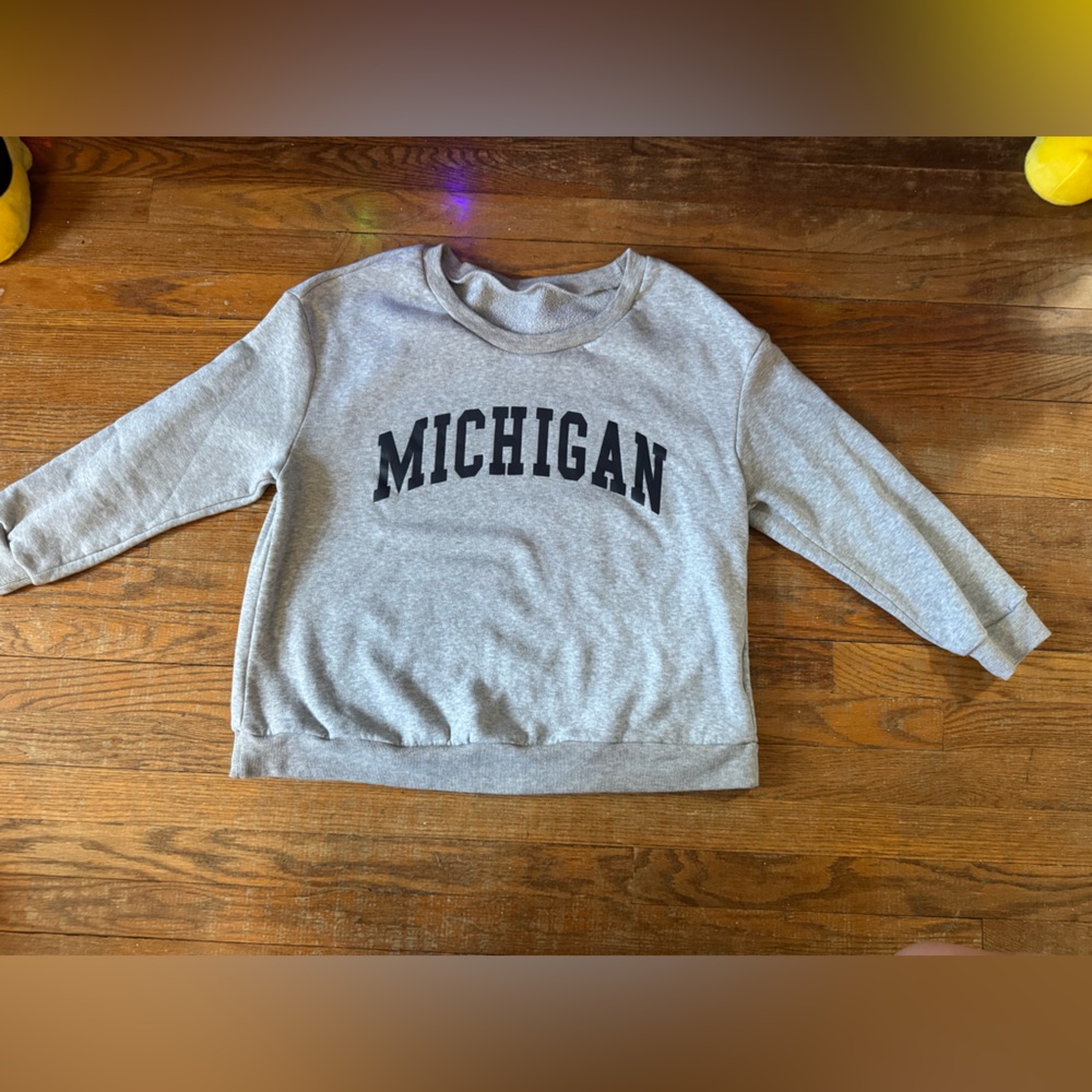 Flirla Plus Letter Graphic Thermal Lined Sweatshirt
